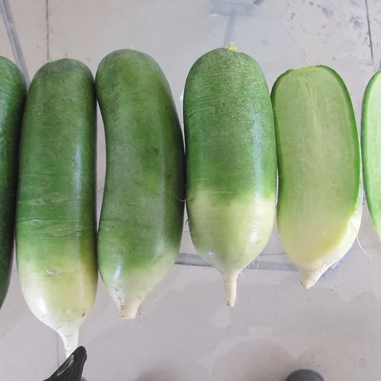 קרונטשי גרין ראַדיש