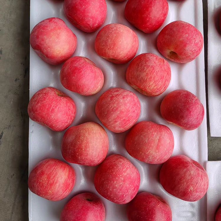 פּרעמיום פריש פודזשי Apples