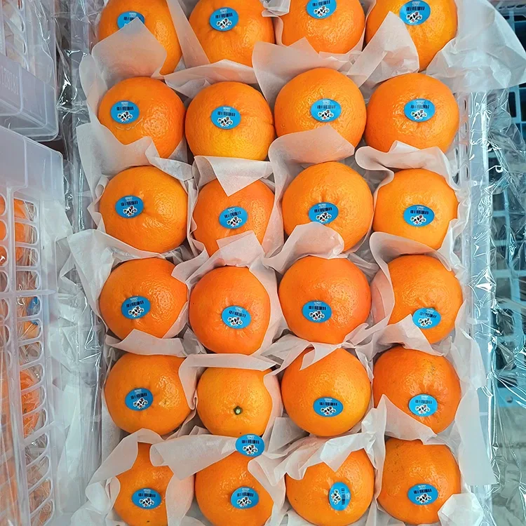 פּרעמיום פריש זיס וואָגאַן מאַנדאַרינס