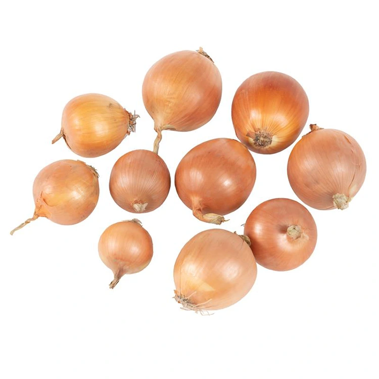פּרעמיום פריש געל אָניאָנס