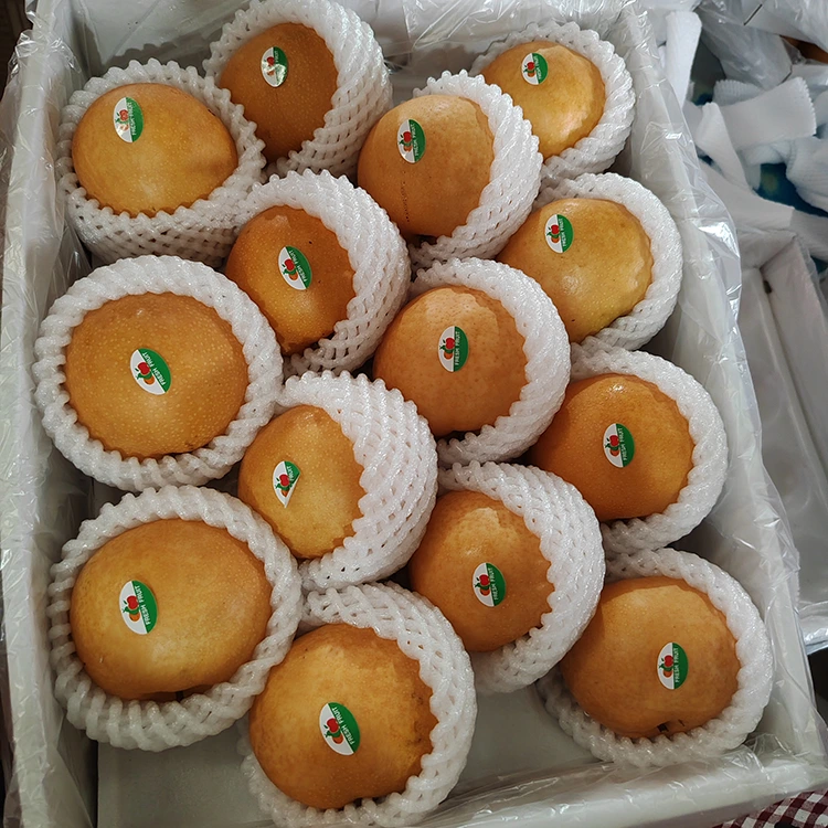 פּרעמיום שינגאָ פּערז