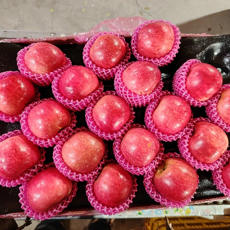 העכער פריש דזשיגואַן Apples